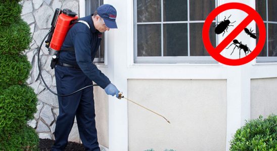 Serinhisar Hamam Böceği İlaçlama böcek ilaçlama ve haşere kontrolü — ilaclama-tr.com